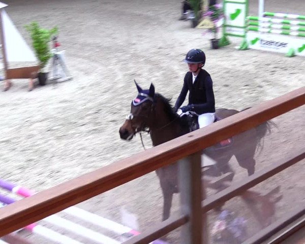 Reitturnier Hamburg-Friedrichshulde/Sylva Kuhrt 2024