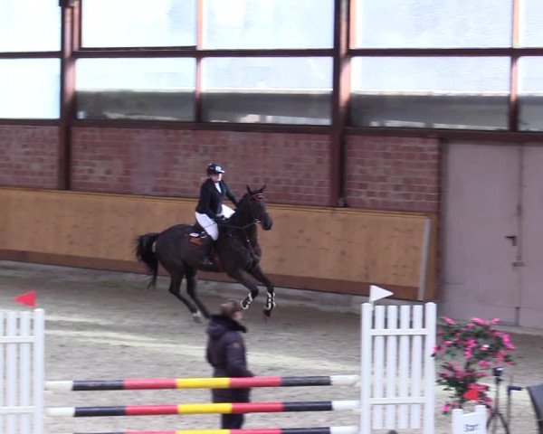 Reitturnier Hamburg-Friedrichshulde/Sylva Kuhrt 2024
