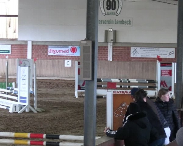 Reitturnier Lembeck 2024