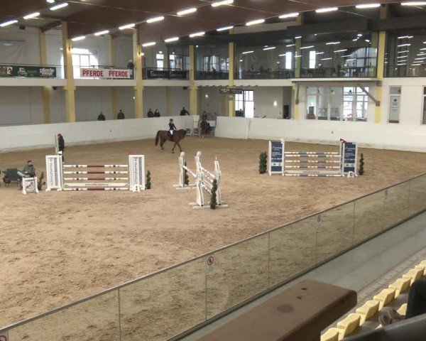 Reitturnier Stadl-Paura 2024