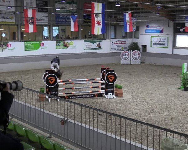 Reitturnier Luhmühlen 2024