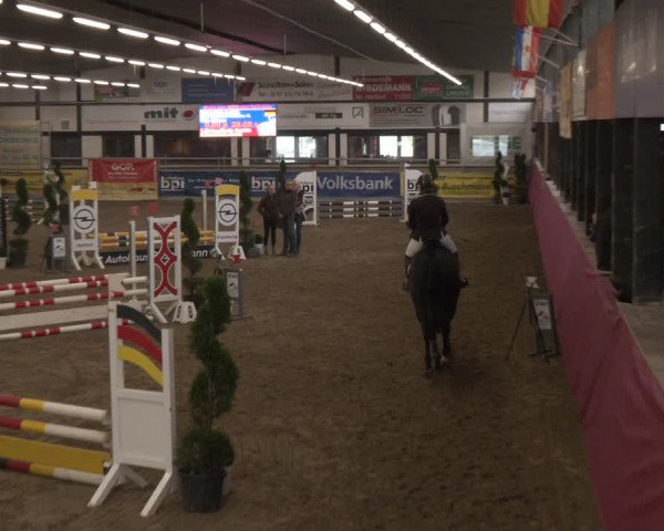 Reitturnier Vlotho-Exter 2024