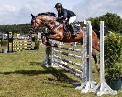 jumper Alma 121 (Trakehner, 2017, from Davidas)