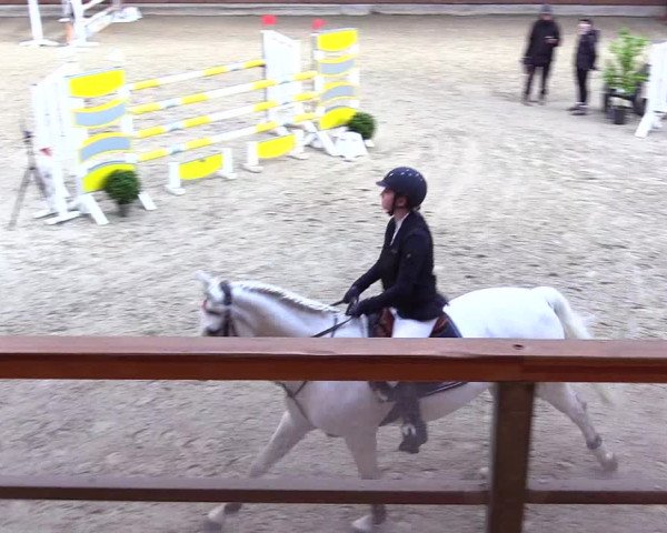 Reitturnier Hamburg-Friedrichshulde/Sylva Kuhrt 2024