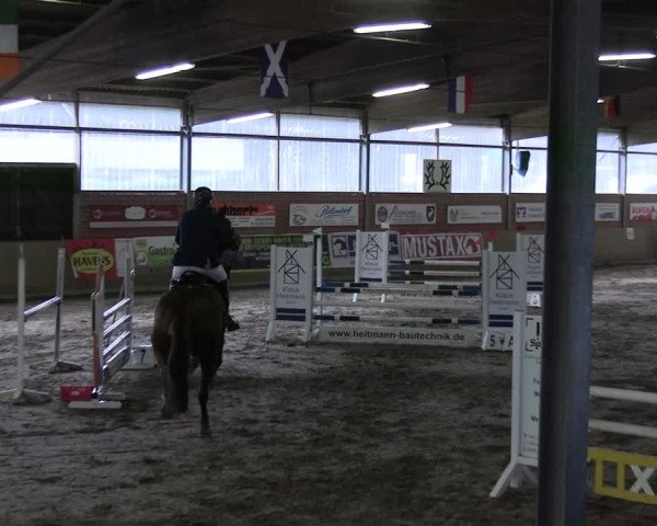 Reitturnier Lembeck 2024