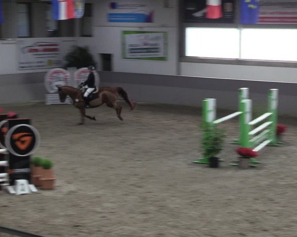 Reitturnier Luhmühlen 2024