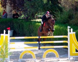 jumper Dionisos (KWPN (Royal Dutch Sporthorse), 2008, from Zavall VDL)