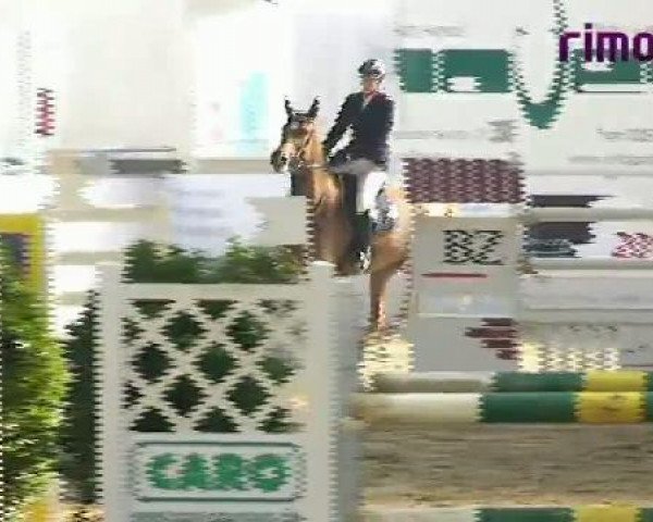 Borken 2011