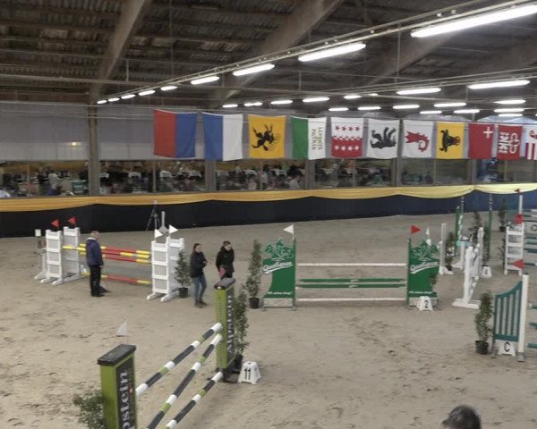Reitturnier Erlen 2024