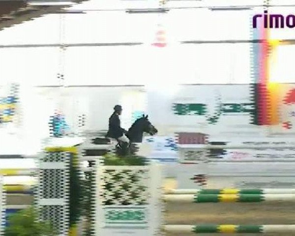 Borken 2011