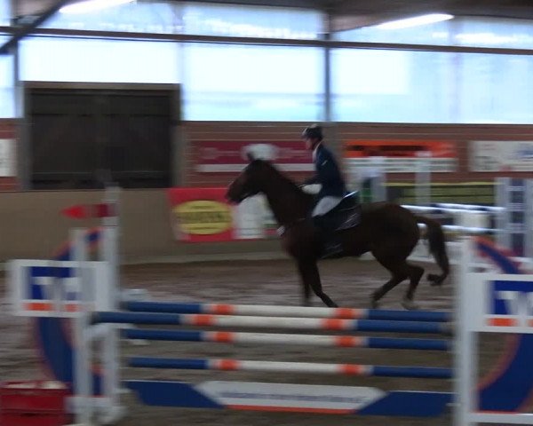 Reitturnier Lembeck 2024