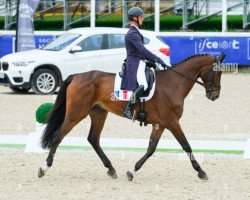 jumper Good Moussardière (Selle Français, 2016, from Canturo)