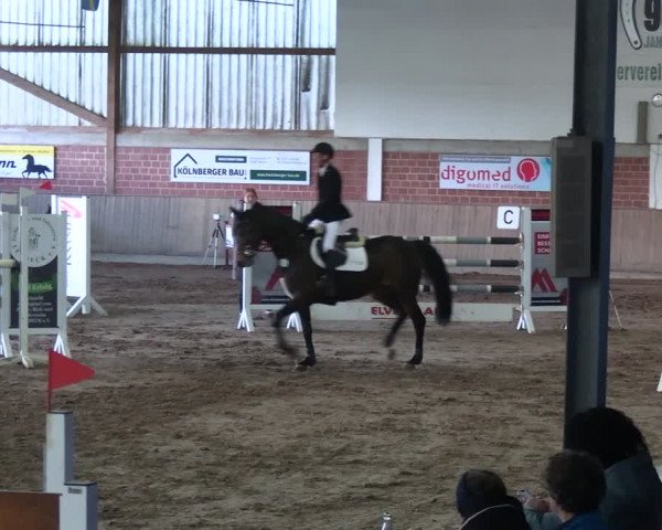 Reitturnier Lembeck 2024