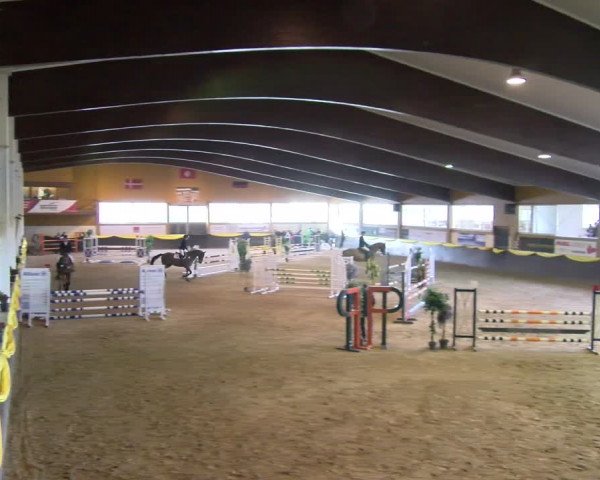 Reitturnier Sauldorf-Boll 2024