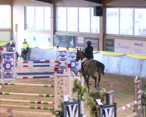Reitturnier Sauldorf-Boll 2024