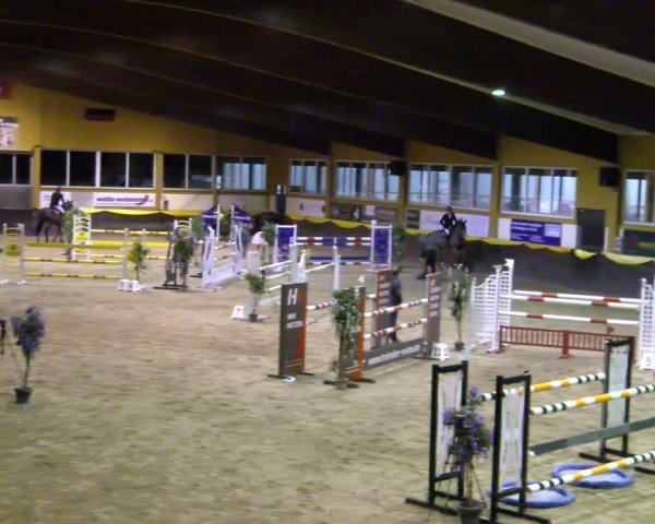 Reitturnier Sauldorf-Boll 2024