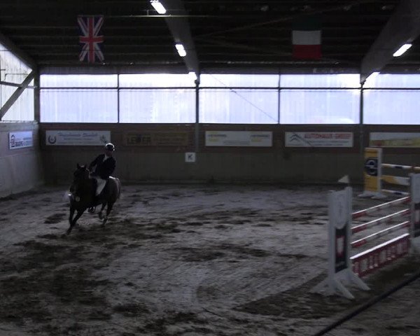 Reitturnier Lembeck 2024