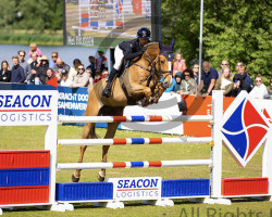 jumper Grieg S (KWPN (Royal Dutch Sporthorse), 2011, from Indoctro)