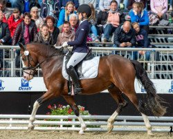 stallion Ricky's Dream of Color (German Riding Pony, 2016, from Oosteinds Ricky)