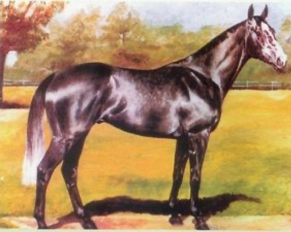 horse Abbey's Grey xx (Thoroughbred, 1986, from Kampala xx)