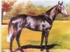 Pferd Abbey's Grey xx (Englisches Vollblut, 1986, von Kampala xx)