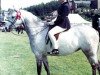 broodmare Cusop Hostess (Welsh Partbred, 1965, from Cusop Policy)