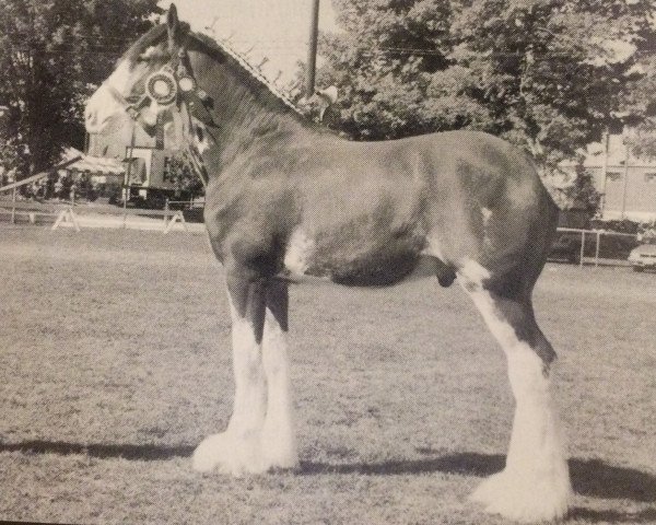 broodmare Zorra Highland Tyson (Clydesdale, 1997, from CIE Stepping Stone)