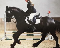 dressage horse Sem 16 (Friese, 2010, from Jorn)