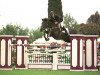 Deckhengst ARD Black Cat (Irish Sport Horse, 1991, von Ard Allez Cat xx)