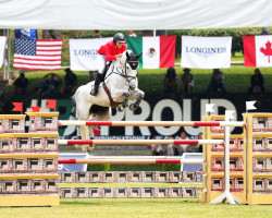 broodmare Valkyrie de Talma (Selle Français, 2009, from Diamant de Semilly)