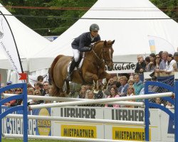 broodmare Carolien Vh Scheefkasteel (Belgian Warmblood, 2002, from Perhaps van het Molenvondel)