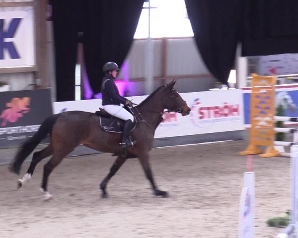 6. Nordic Jumping event Negernbötel 2024