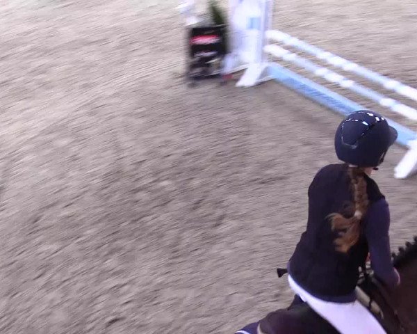 6. Nordic Jumping event Negernbötel 2024
