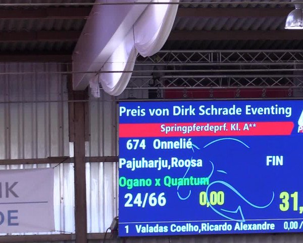 6. Nordic Jumping event Negernbötel 2024