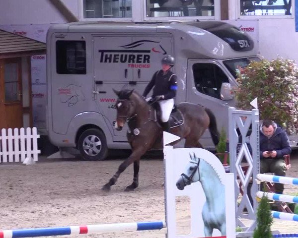 6. Nordic Jumping event Negernbötel 2024