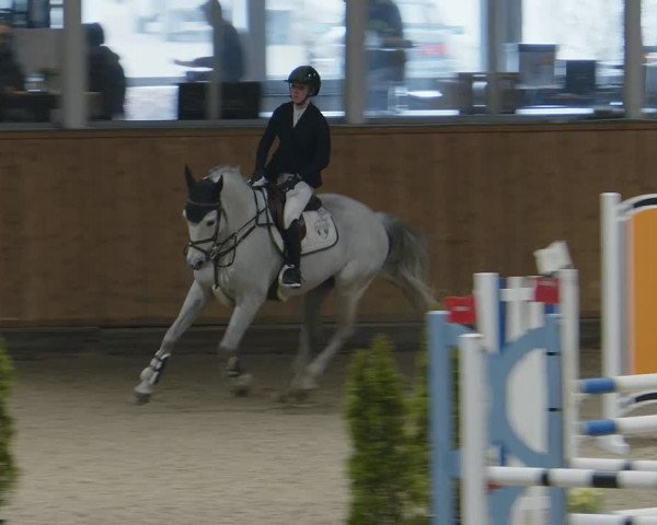 Reitturnier Aachen - Albert-Vahle-Halle 2024