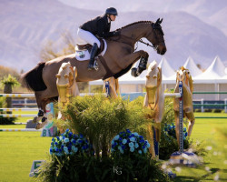 jumper Eblesse (KWPN (Royal Dutch Sporthorse), 2009)