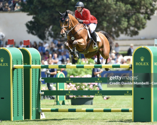 jumper Eh All Or None (Hanoverian, 2006, from Abke 4)