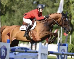 jumper Stakkarus (Oldenburg show jumper, 2004, from Stakkato)