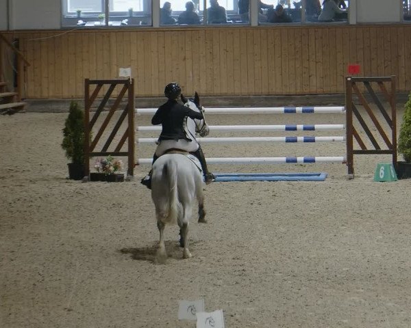 Reitturnier Aachen - Albert-Vahle-Halle 2024