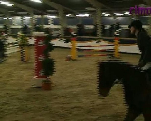 Vreden 2011