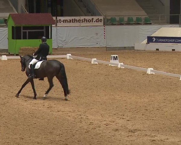 Reitturnier Kreuth/Opf. 2024