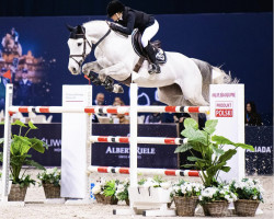 Springpferd Nastelina vd Witte Driesendijk (Belgisches Warmblut, 2013, von Castelino van de Helle)