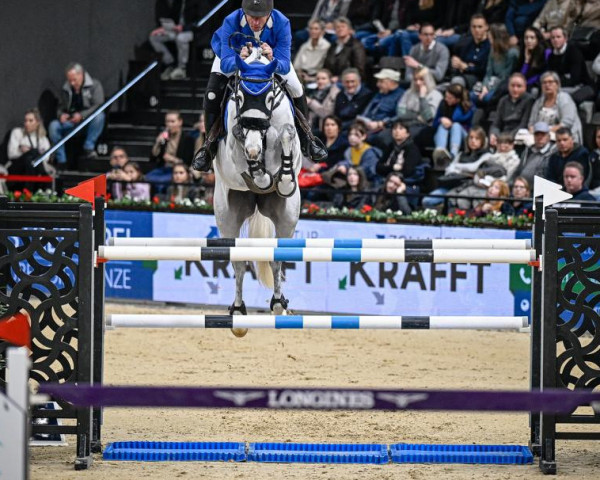 Springpferd Griffin van de Heffinck (Belgium Sporthorse, 2012, von Castelino van de Helle)