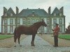 stallion Cotentin (FR) (French Trotter, 1968, from Paleo (FR))