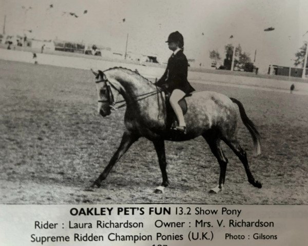 Pferd Oakley Pet's Fun (British Riding Pony, 1985, von Oakley Bubbling Fun)