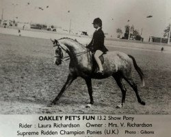 horse Oakley Pet's Fun (British Riding Pony, 1985, from Oakley Bubbling Fun)