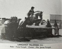 Pferd Langshot Talisman (Welsh Pony (Sek.B), 1982, von Gunthwaite Briar)