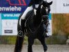 dressage horse Feel Free 8 (Hanoverian, 2016, from Fürst Belissaro)