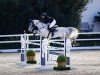 jumper K.i Call Me Champ Z (Zangersheide riding horse, 2016, from Clarimo Ask)